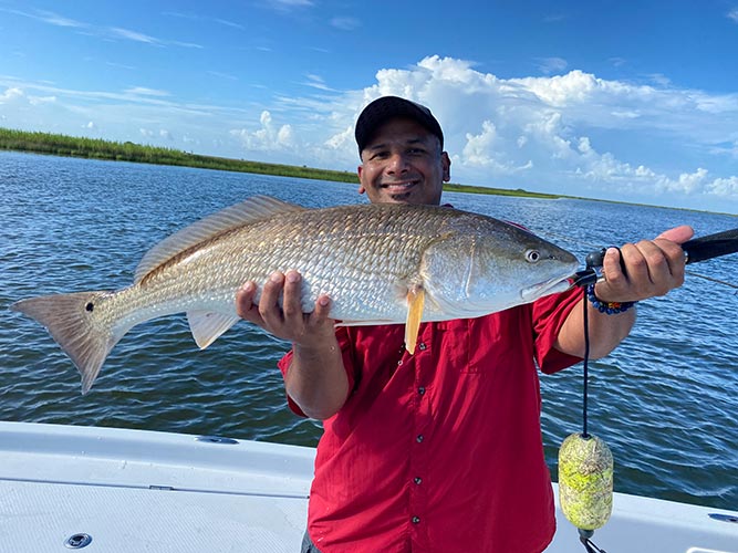 Large Red Fish caught charter fishing 