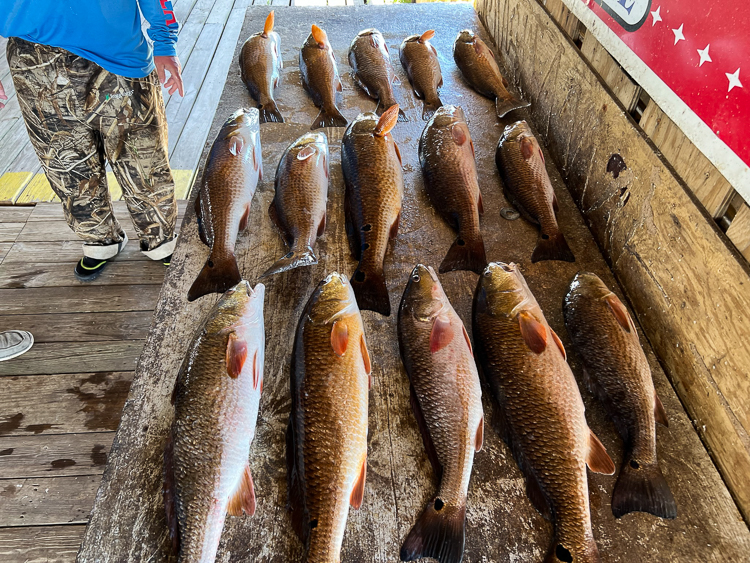 New Orleans charter fishing