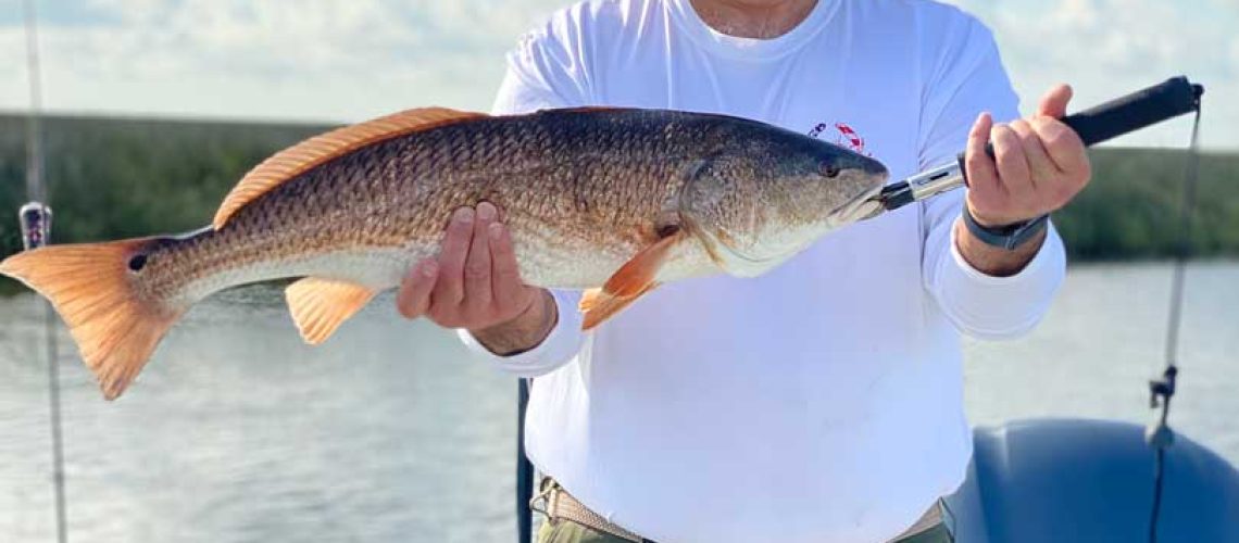 D74B64D6-08BC-4EB0-8F71-50CDBC5D0F05