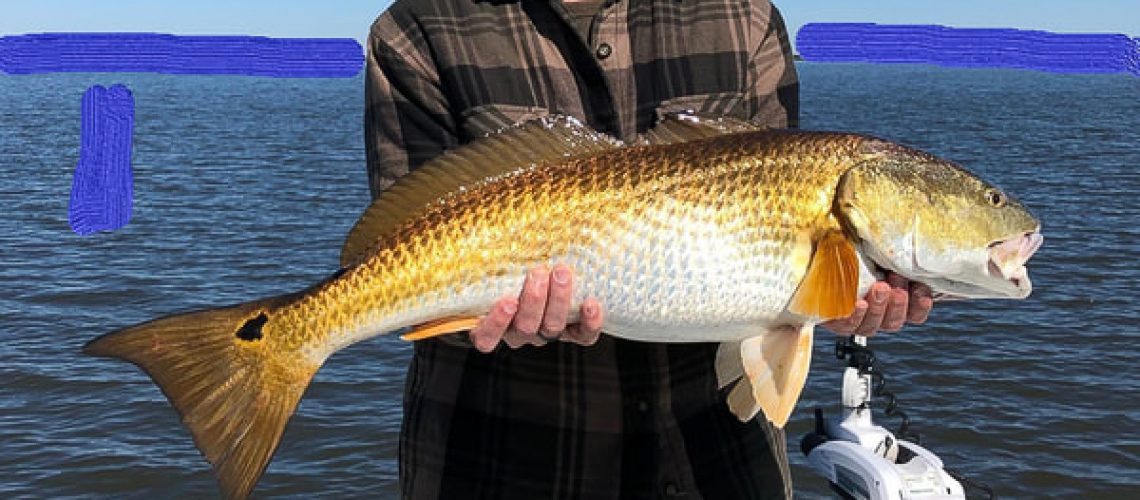 fisherman holding a large redfish on fishing trip with Victory Bay Charters
