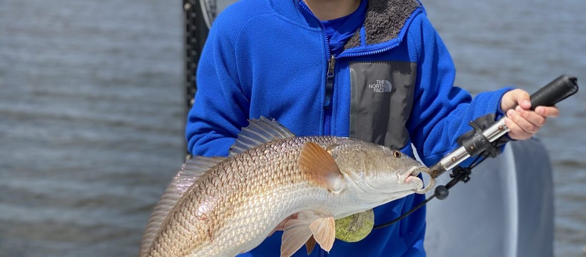 Jackson First bull red in South Louisiana