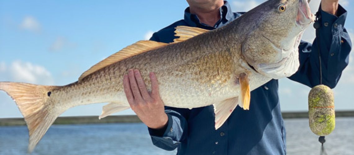 Victory-Bay-April-May-2022-10