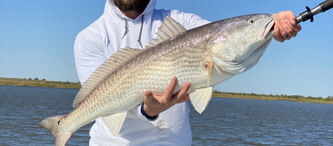 captain-draco-putting-clients-on-big-bullreds-in-fishing-louisiana-marshes