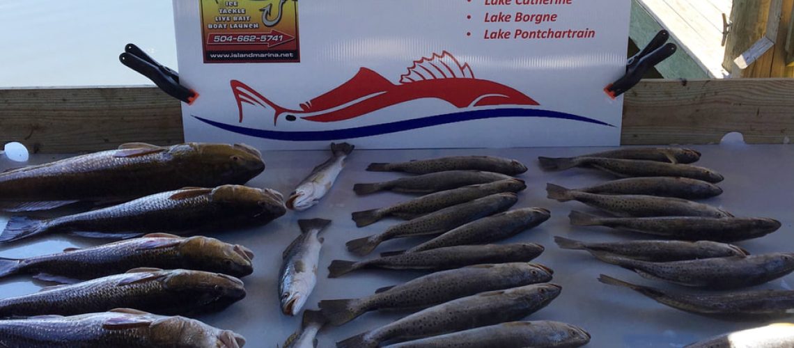 Victory Bay Charters Captain Draco limited out charter