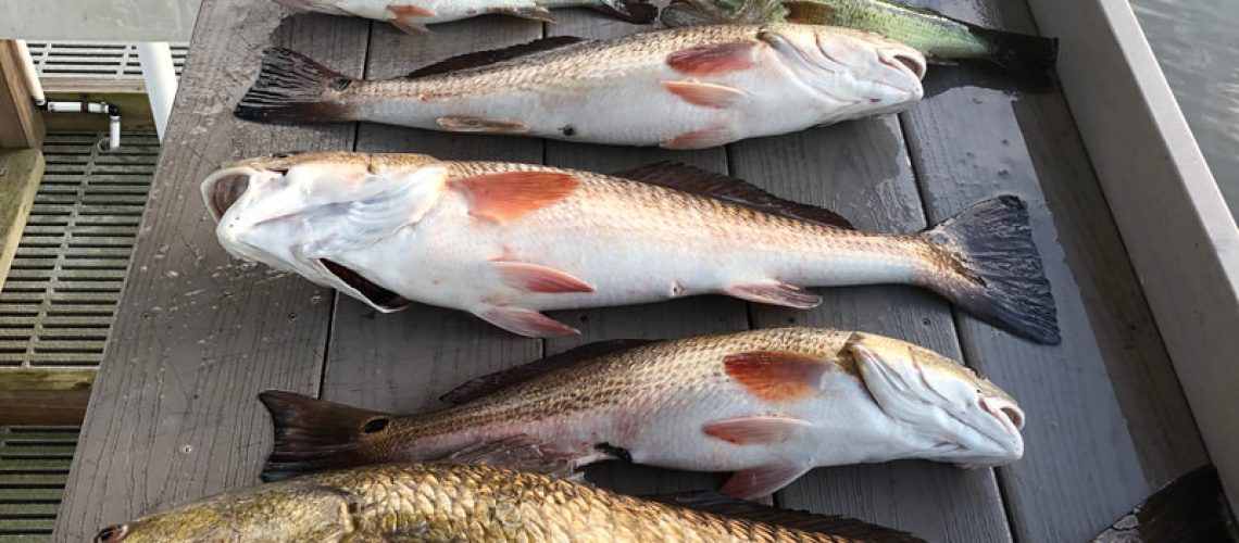 Bull Reds, Bass, trout and more experience the best charter fishing with Victory Bay Charter