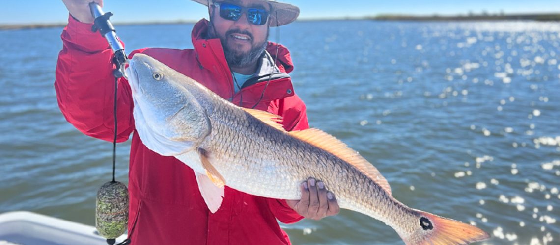 Red Fish in Lake Pontchartrain